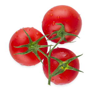 tomat_1.png tomat_1.png